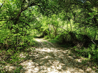 Similar image 21455350