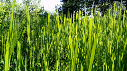 Similar image 21455357