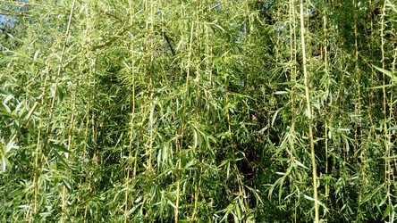 Similar image 21455358