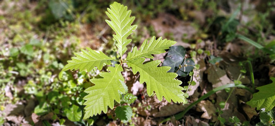 Similar image 21455359