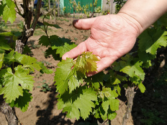 Similar image 21455435