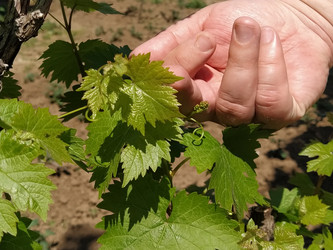 Similar image 21455440