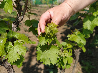 Similar image 21455443