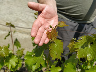 Similar image 21455692