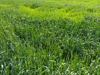 Similar image 21455693