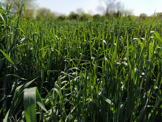 Similar image 21455695