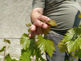 Similar image 21455697