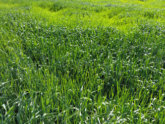 Similar image 21455698