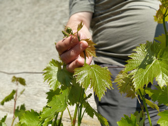 Similar image 21455699