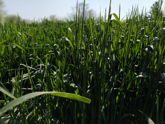 Similar image 21455700