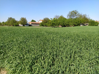 Similar image 21455701