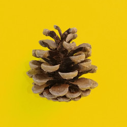 Similar image 21455816