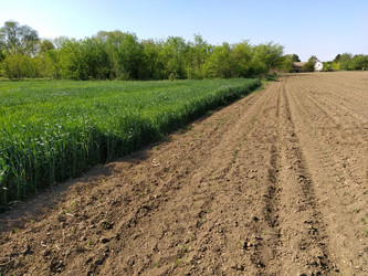 Similar image 21452232