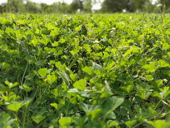 Similar image 21452244