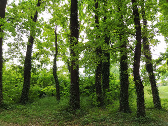 Similar image 21452245