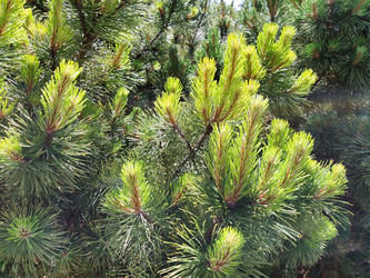 Similar image 21452246