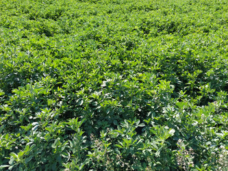 Similar image 21452254