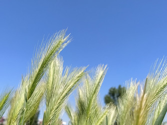 Similar image 21452255