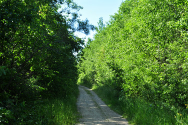 Similar image 21478915