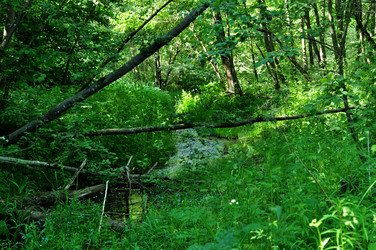 Similar image 21480765