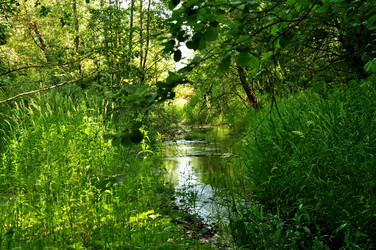 Similar image 21480767