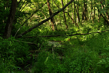 Similar image 21480768