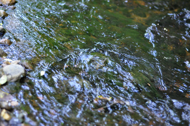 Similar image 21480771