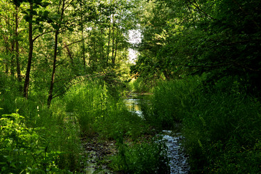 Similar image 21480772