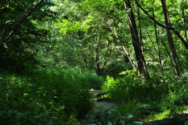 Similar image 21480773