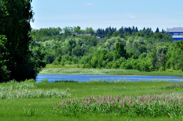 Similar image 21480778