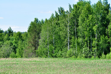 Similar image 21480779