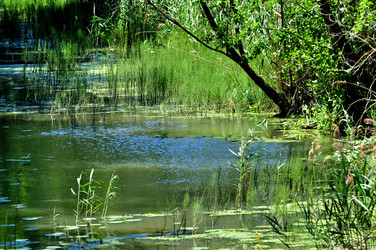 Similar image 21480780