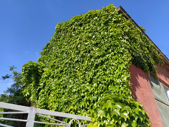 Similar image 21453325