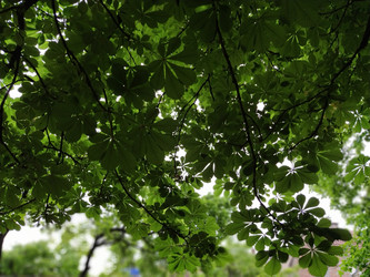 Similar image 21453327