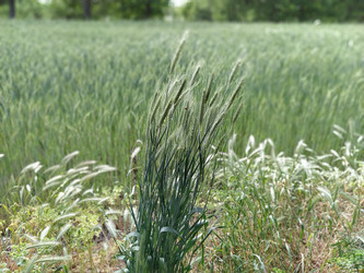 Similar image 21453330