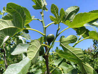 Similar image 21455371