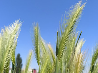 Similar image 21455372