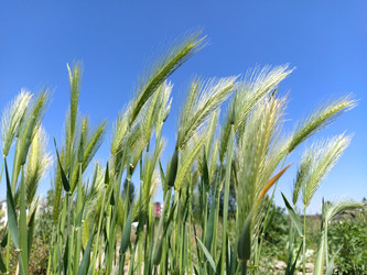 Similar image 21455374