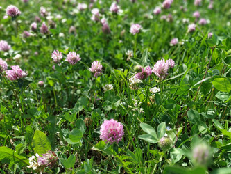 Similar image 21455376