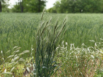 Similar image 21455377