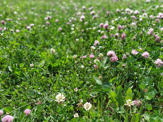 Similar image 21455380