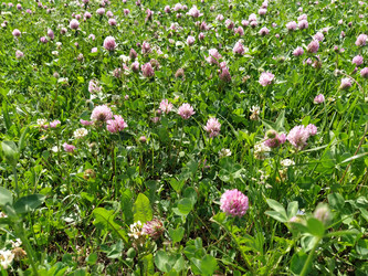 Similar image 21455384