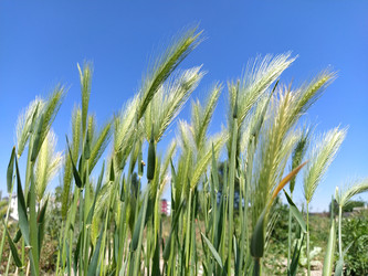 Similar image 21455386