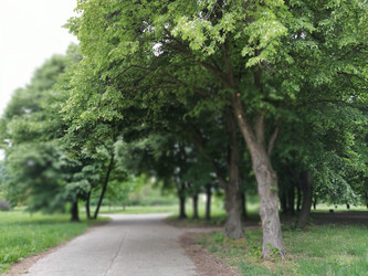 Similar image 21455449