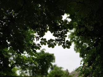 Similar image 21455450