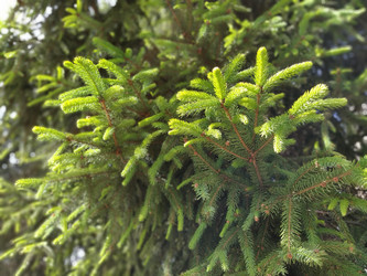 Similar image 21455451