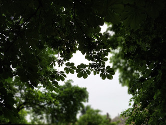 Similar image 21455454