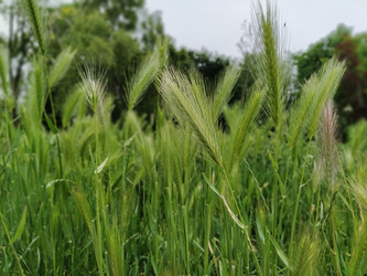 Similar image 21455462