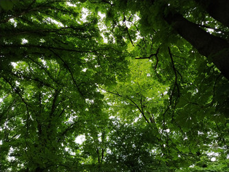 Similar image 21455466