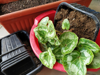 Similar image 21455468